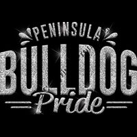 GLT62 SILVER GLITTER Thumbnail